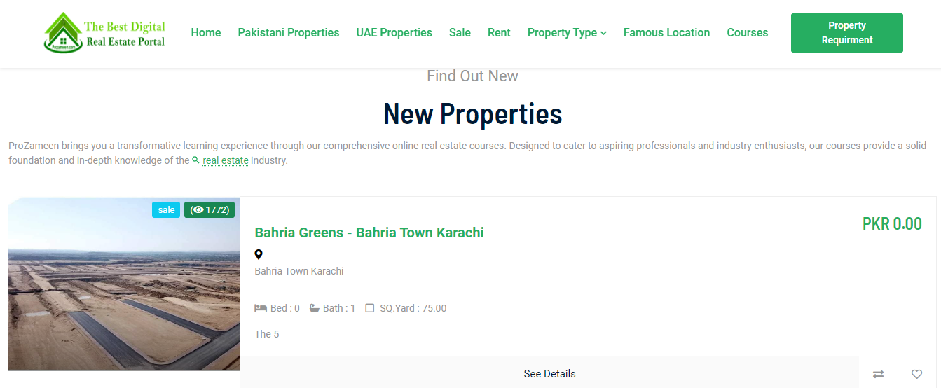 Real Estate Project
